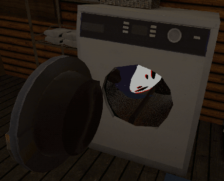 evidently tiny avatars fit nicely in washing machines